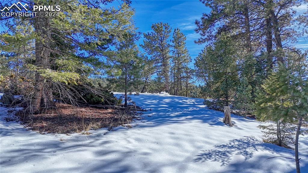 Image 29 of 34: Yard