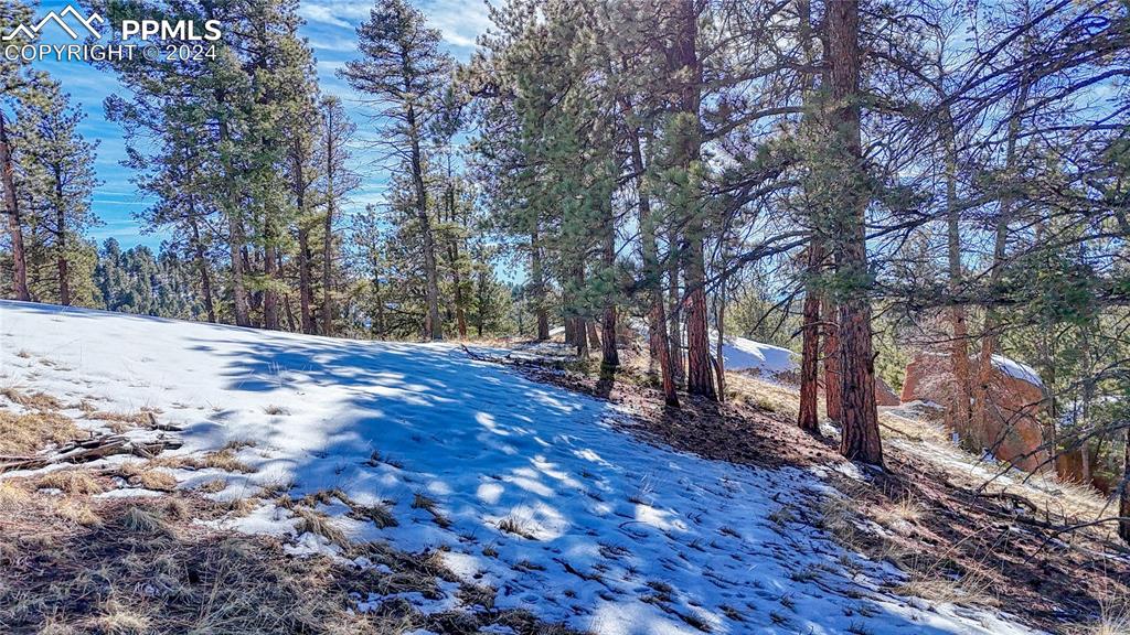 Image 30 of 34: Yard