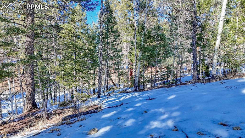 Image 33 of 34: Yard