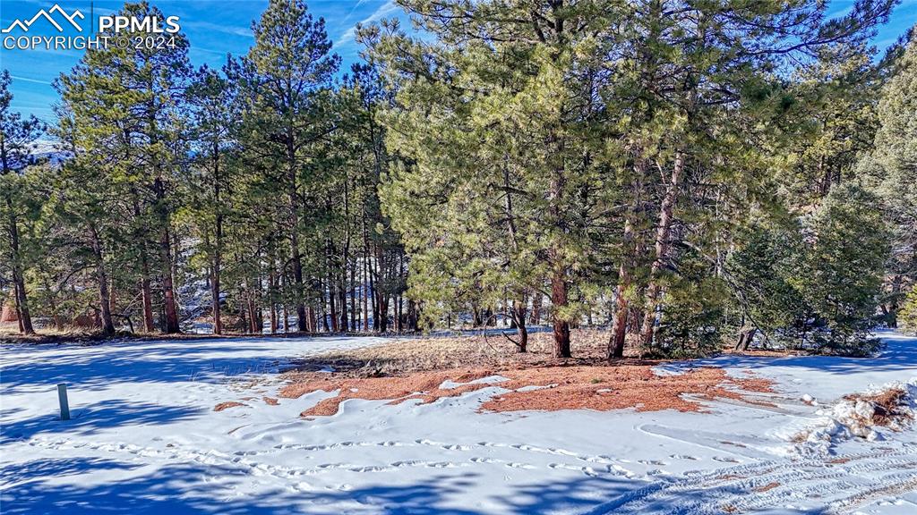 Image 4 of 34: Other