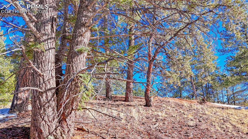 Image 7 of 34: Other