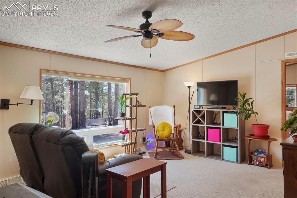 Image 6 of 29: Living Room