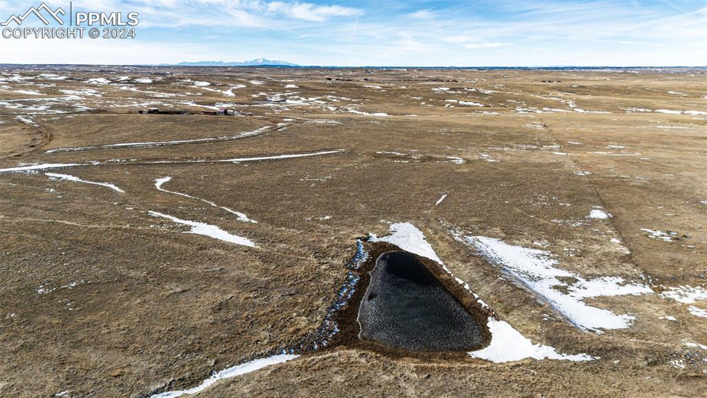 Image 12 of 20: Bird