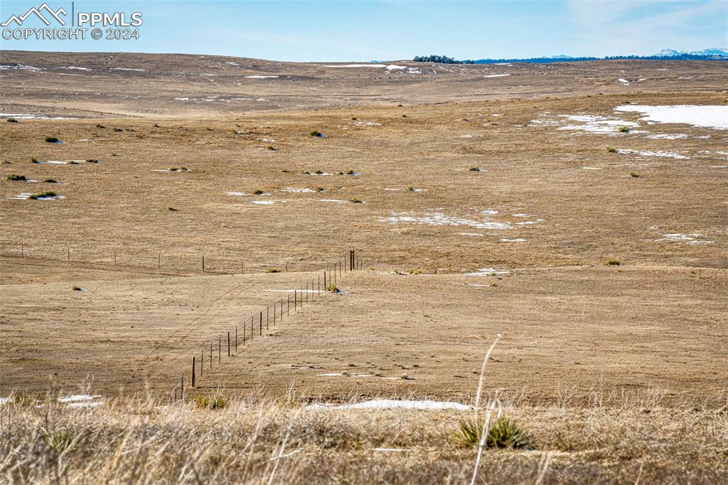 Image 19 of 20: Natural vegetation.