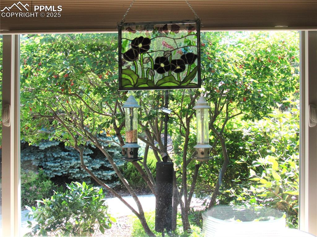 Image 20 of 45: View from living room.  A bird