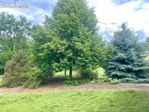 Image 40 of 45: Rear yard, so spacious with mature trees and shrubbery