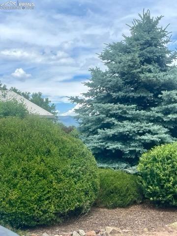 Image 41 of 45: Rear yard, so spacious with mature trees and shrubbery