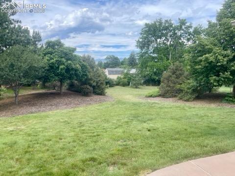 Image 42 of 45: Rear yard, so spacious with mature trees and shrubbery