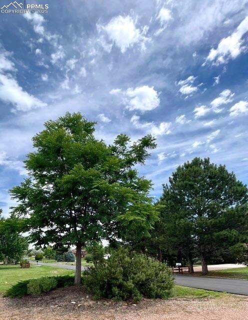 Image 43 of 45: View from front yard