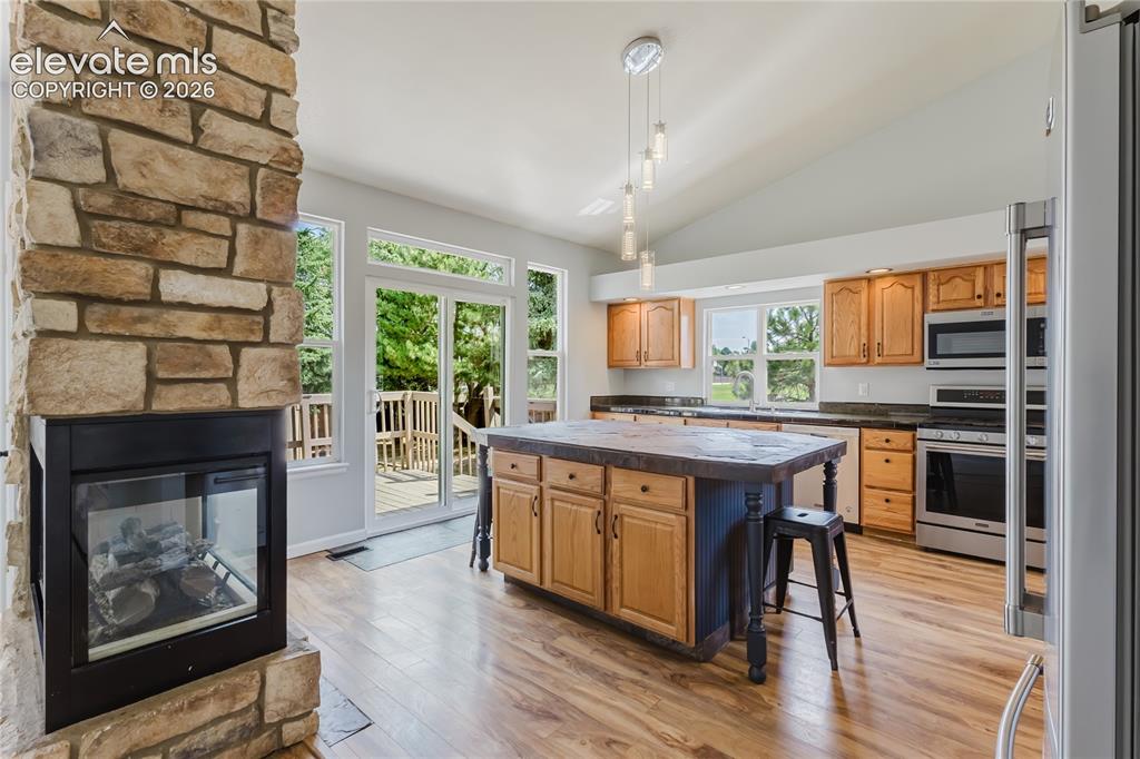 Image 33 of 46: Stone-clad fireplace with glass doors