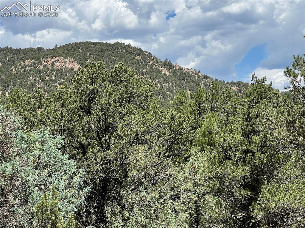 Image 2 of 6: View of mountain background with heavily wooded area
