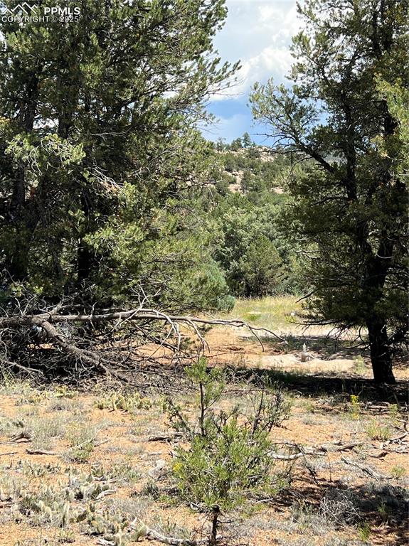 Image 3 of 6: View of property