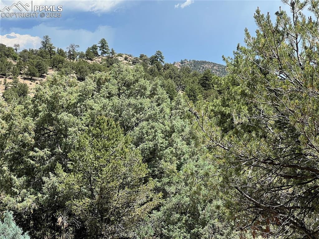 Image 4 of 6: View of woods