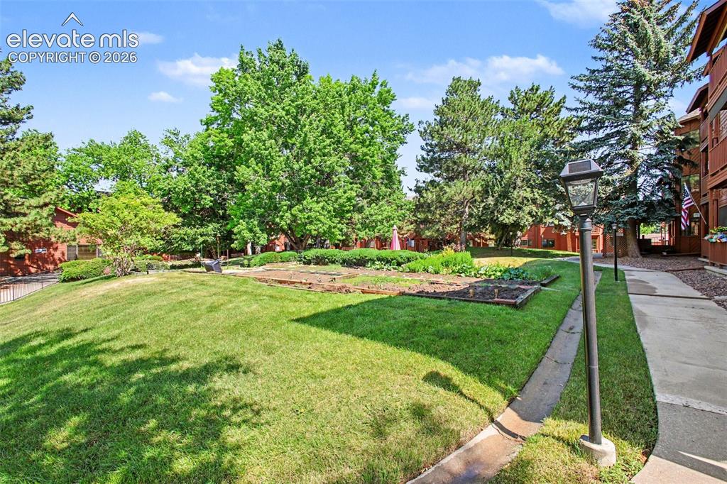 Image 18 of 20: Yard