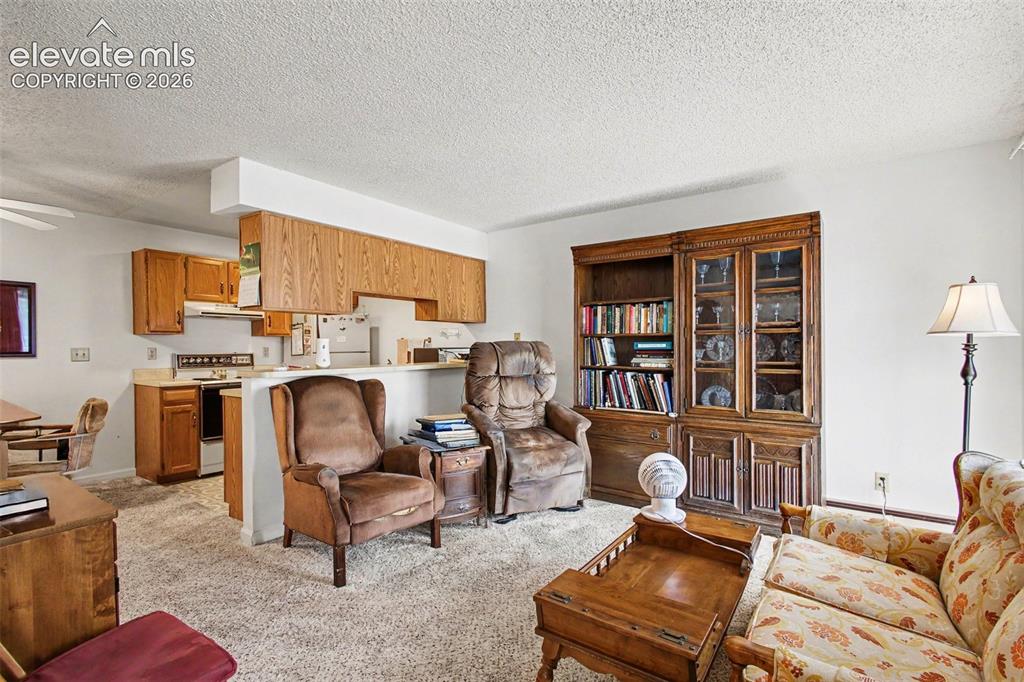 Image 6 of 20: Living Room