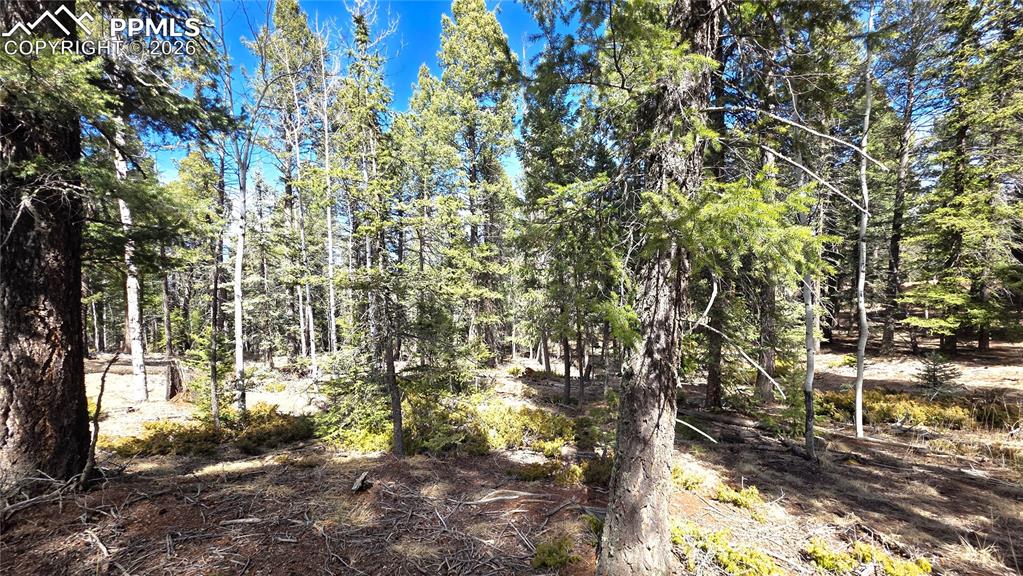 Image 10 of 16: Disclosures