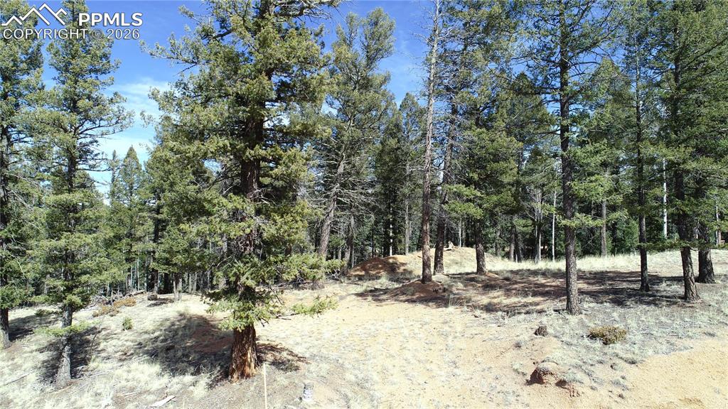 Image 11 of 16: Other