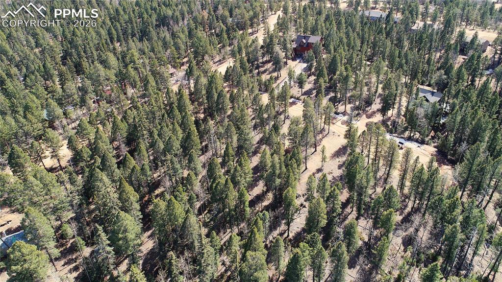 Image 15 of 16: Other