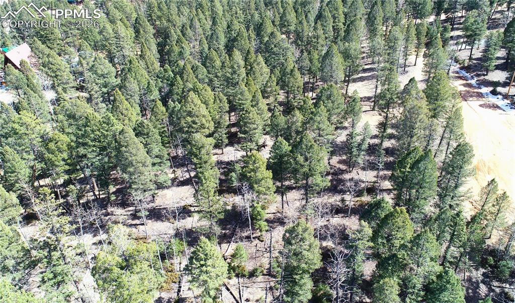 Image 16 of 16: Other