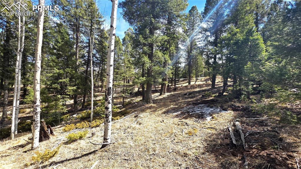 Image 7 of 16: Other