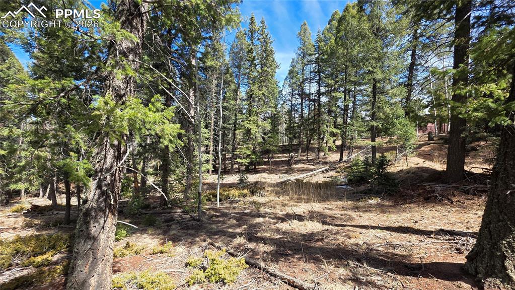 Image 9 of 16: Aerial View