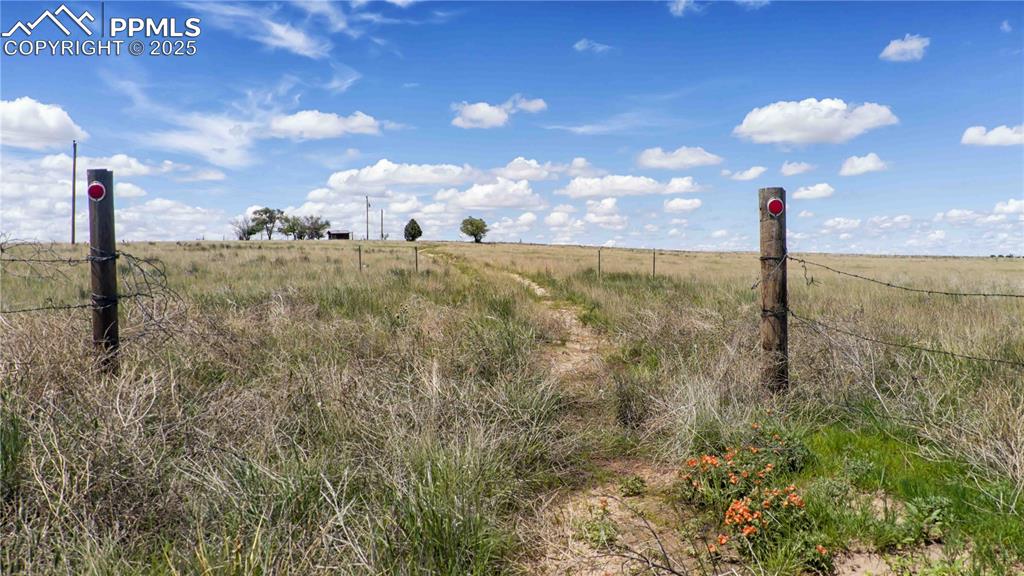 Image 10 of 27: Other