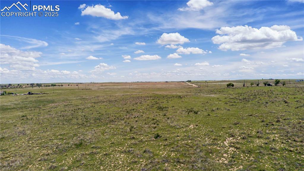 Image 11 of 27: Yard