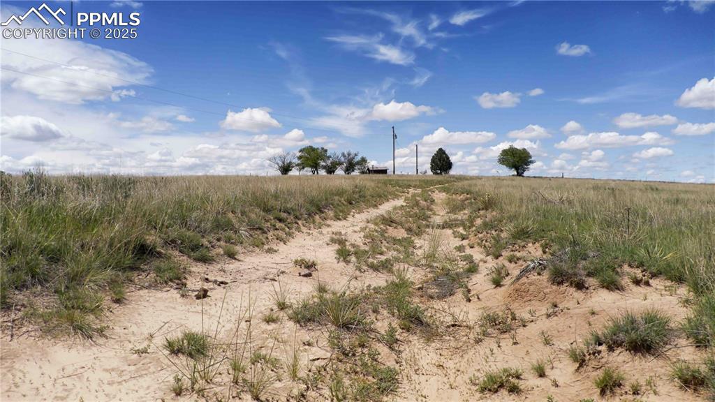 Image 9 of 27: Other