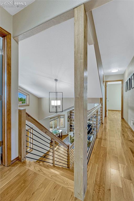 Image 29 of 50: Other