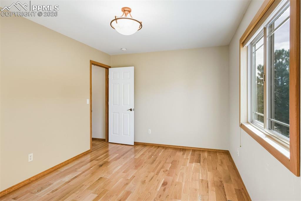 Image 33 of 50: Other