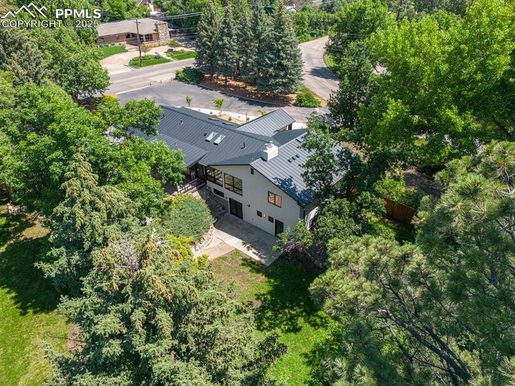 Image 50 of 50: Mature trees