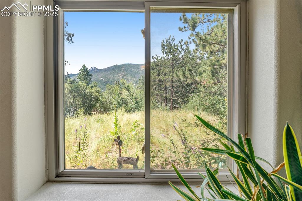 Image 28 of 50: Entry front window with mountain view