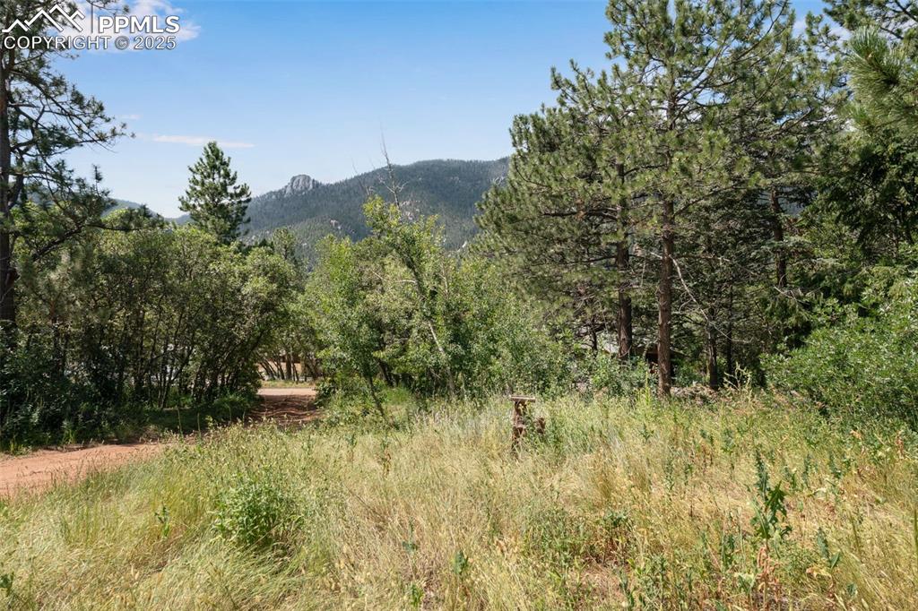Image 47 of 50: View of mountain and front part of lot with driveway