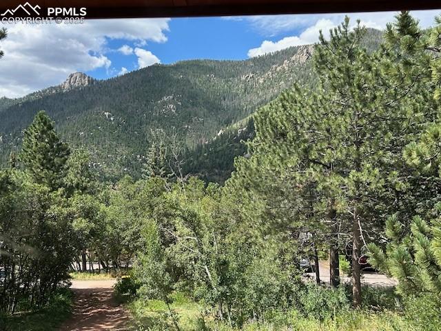 Image 50 of 50: driveway entry and mountain view
