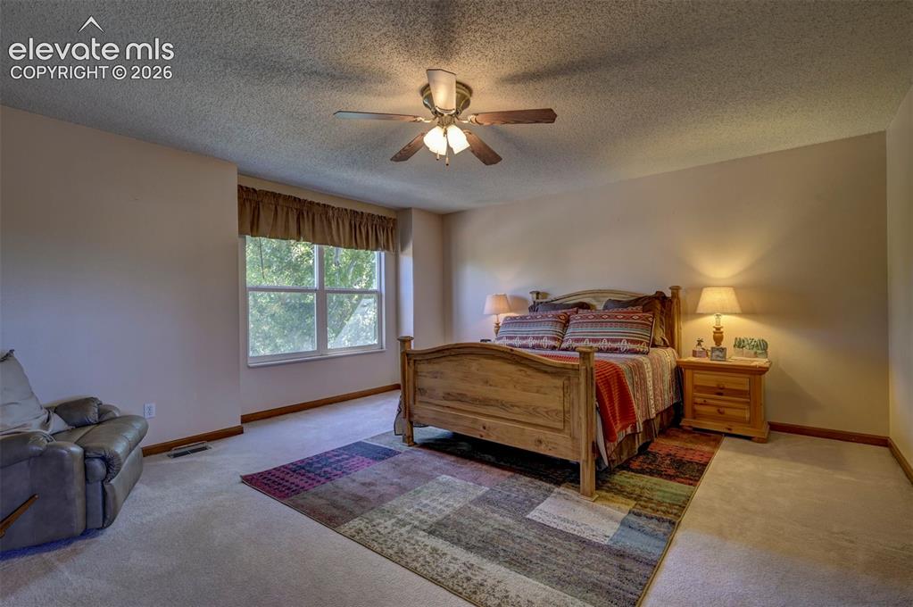 Image 21 of 50: Spacious primary bedroom with ceiling fan and window overlooking the front