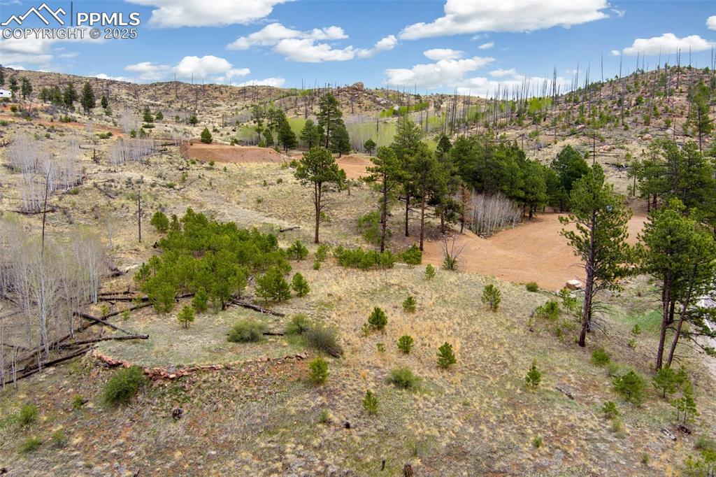 Image 10 of 24: Aerial View