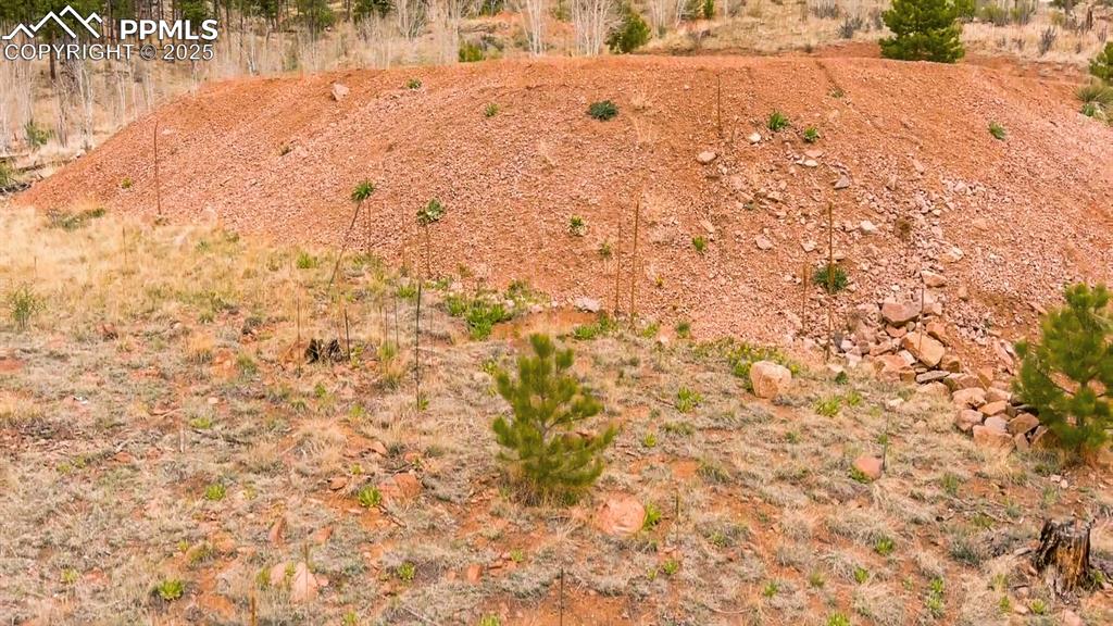 Image 20 of 24: Aerial View