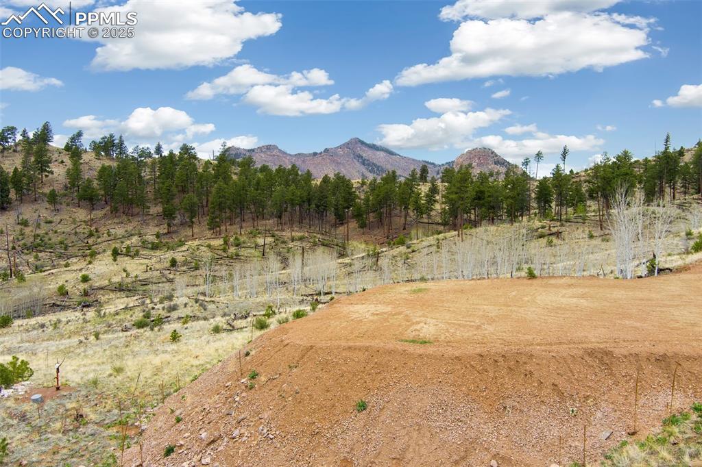 Image 9 of 24: Aerial View