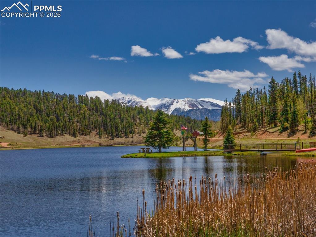 Image 50 of 50: Neighborhood lake- great for fishing and recreation! 