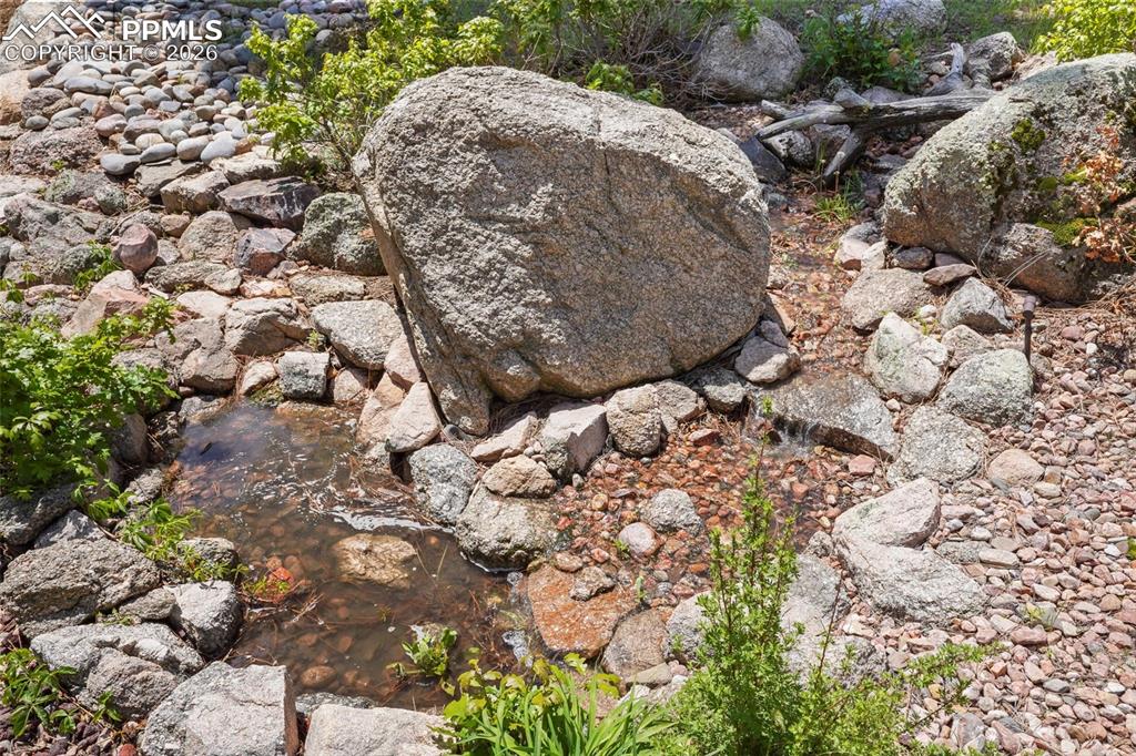 Image 43 of 50: Pond