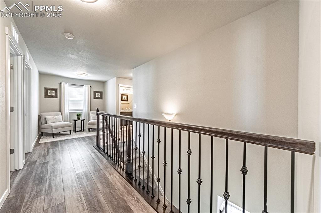 Image 16 of 40: Other