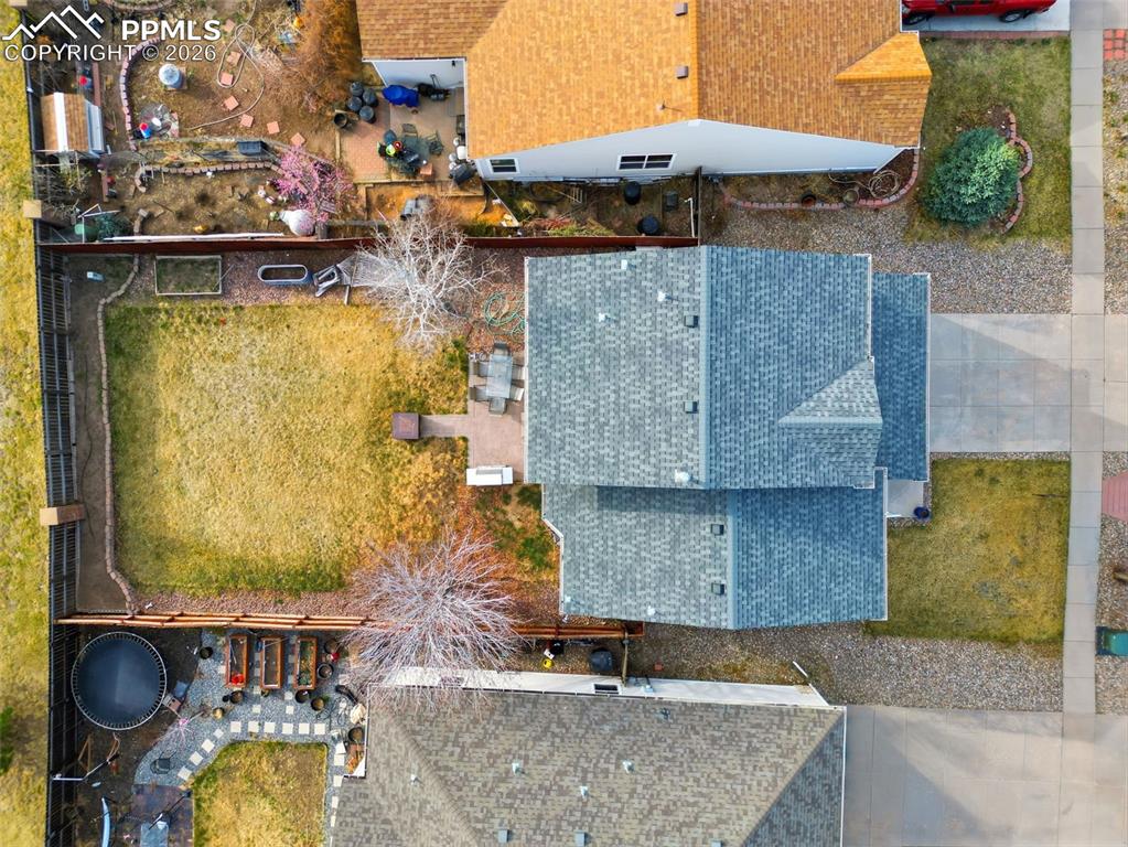 Image 39 of 44: Bird