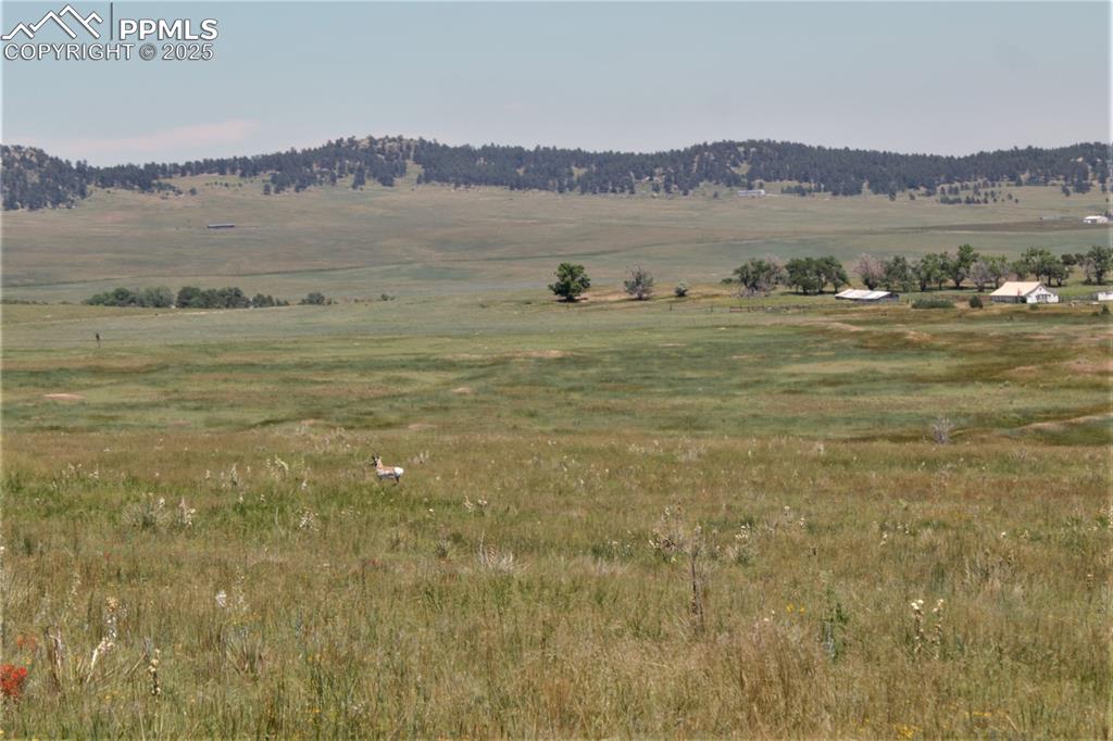 Caption: Mountain view with a rural view