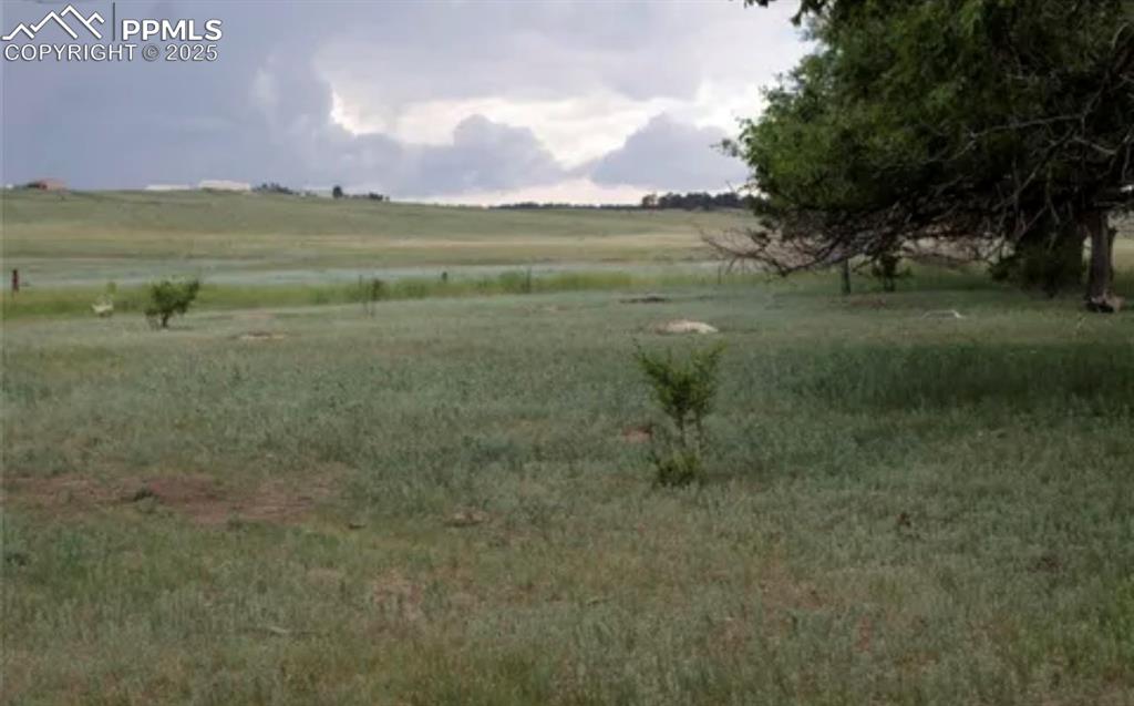 Image 6 of 9: View of local wilderness featuring a rural view