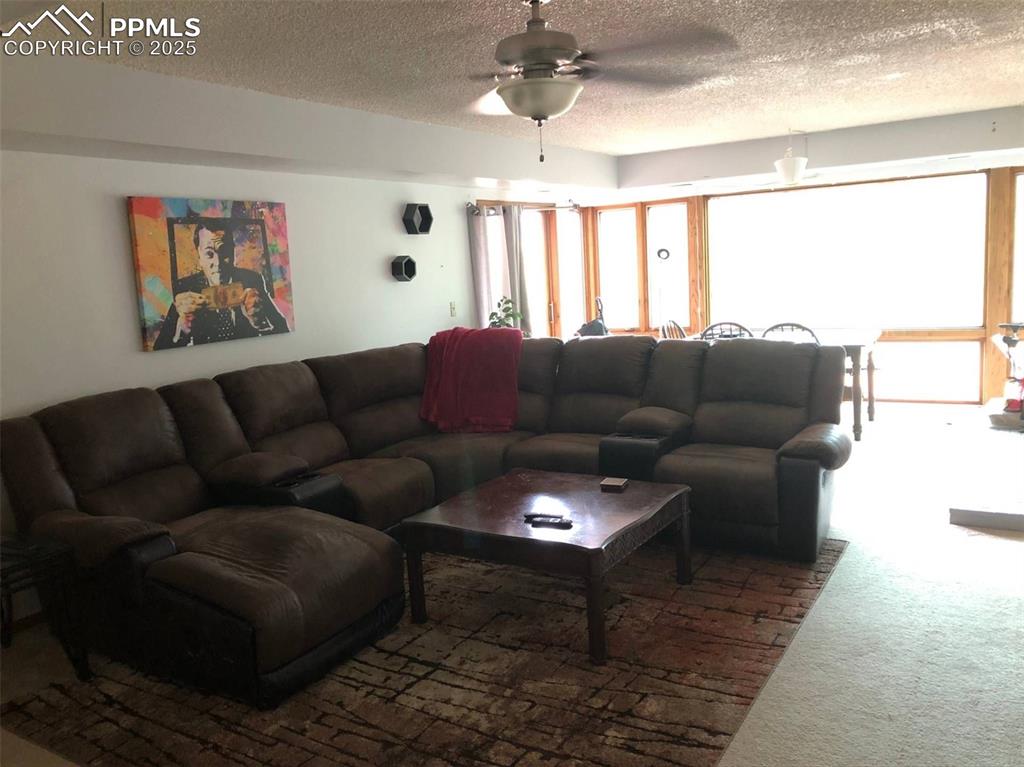 Image 11 of 17: Open living room w/great natural lighting