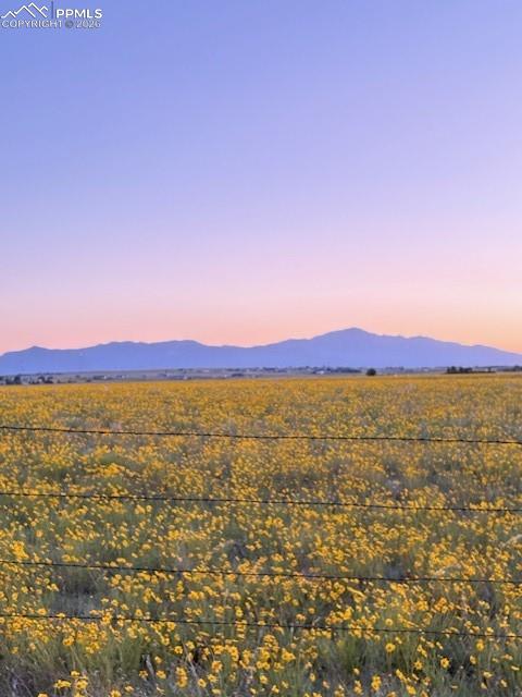 Image 21 of 22: No Description Available