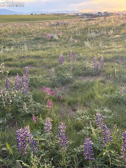 Image 22 of 22: No Description Available