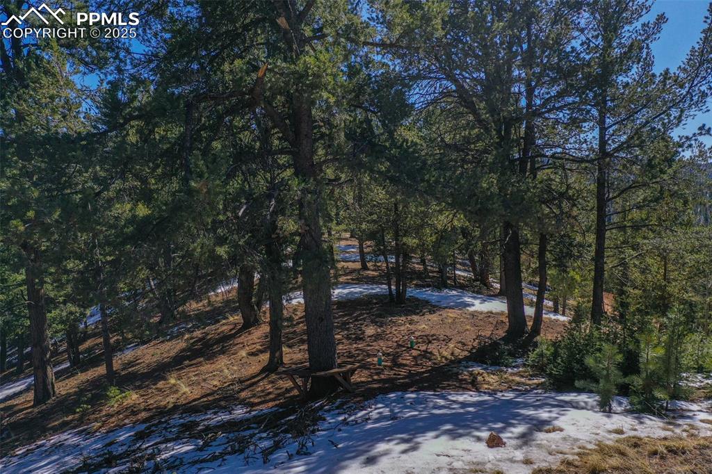 Image 2 of 19: View of yard with a forest view