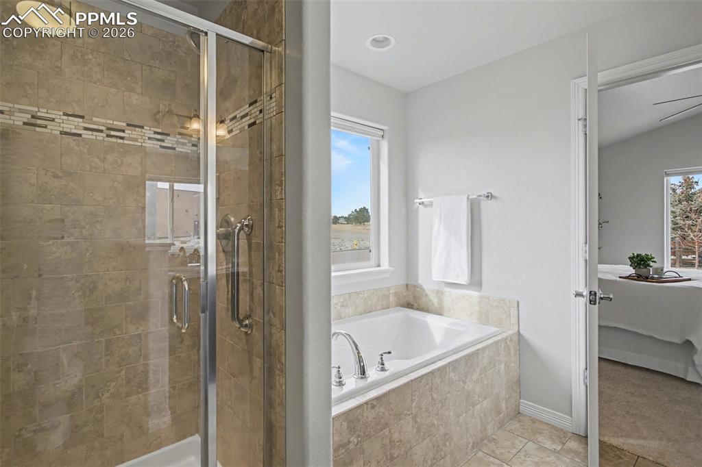 Image 29 of 44: No Description Available