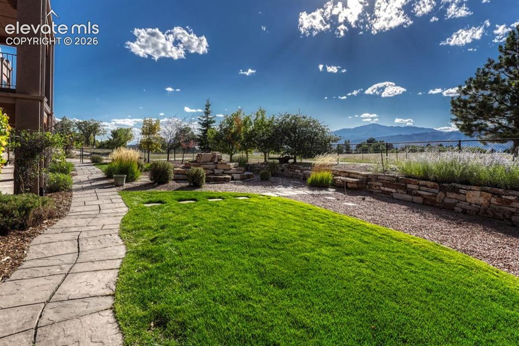 Image 9 of 50: Yard